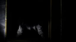 квест Изгоняющий дьявола в Иркутске фото 2